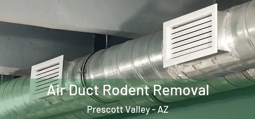 Air Duct Rodent Removal Prescott Valley - AZ
