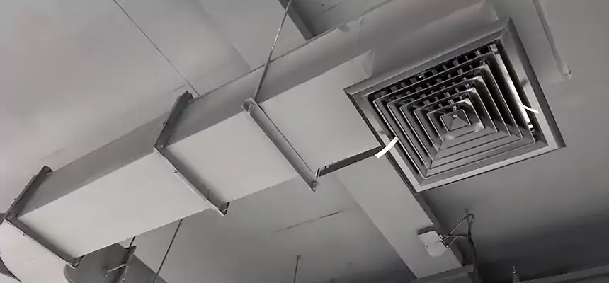 Restorative Allergy Relief Vent Cleaning – Coil, Blower & Housing Detail in Prescott Valley