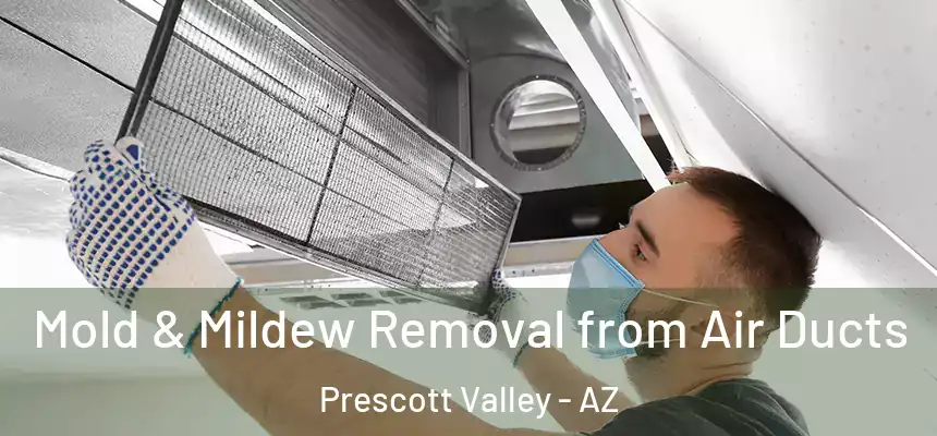 Mold & Mildew Removal from Air Ducts Prescott Valley - AZ