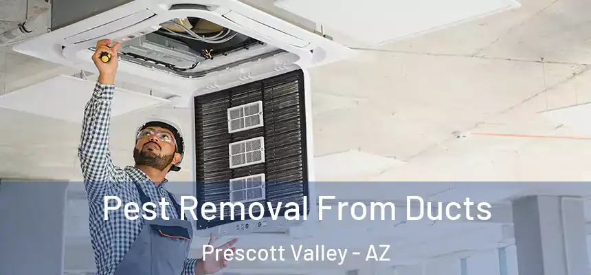 Pest Removal From Ducts Prescott Valley - AZ