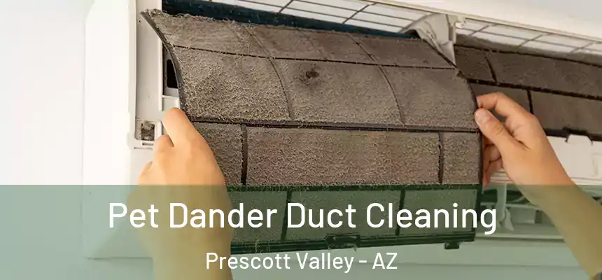  Pet Dander Duct Cleaning Prescott Valley - AZ