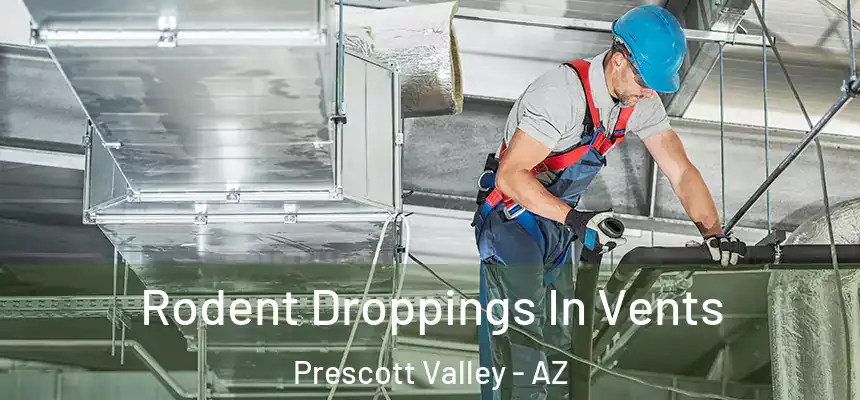  Rodent Droppings In Vents Prescott Valley - AZ