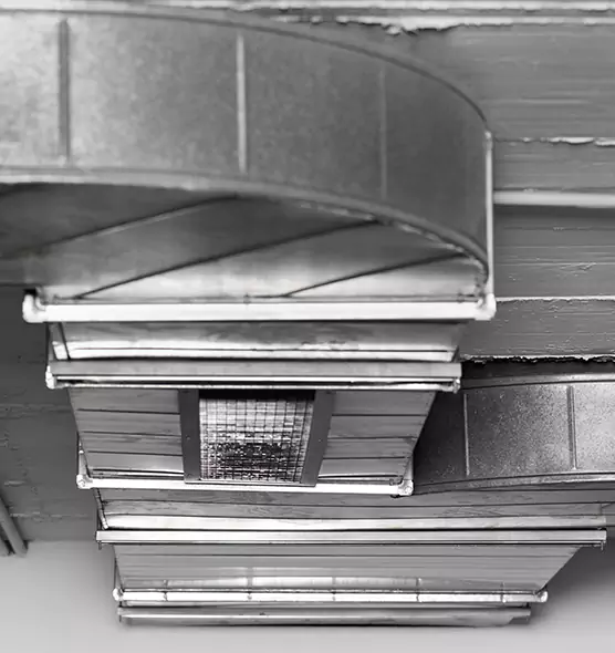 Professional Air Duct Pest Removal in Prescott Valley, AZ