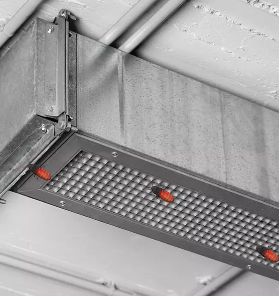 Affordable Insect Removal from Air Ducts in Prescott Valley, AZ