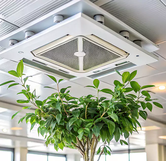 Why Homeowners & Businesses Trust Us in Prescott Valley, AZ?